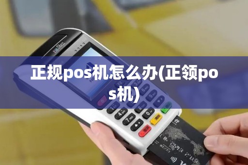 正规pos机怎么办(正领pos机)