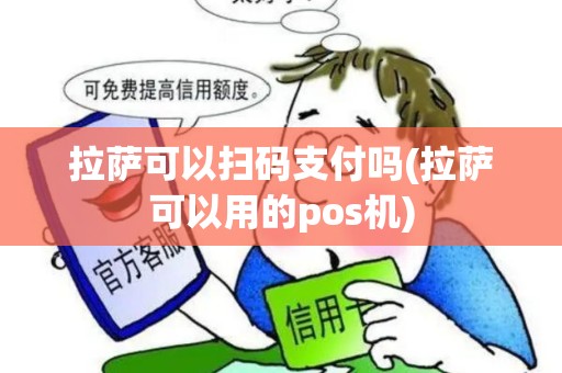 拉萨可以扫码支付吗(拉萨可以用的pos机)