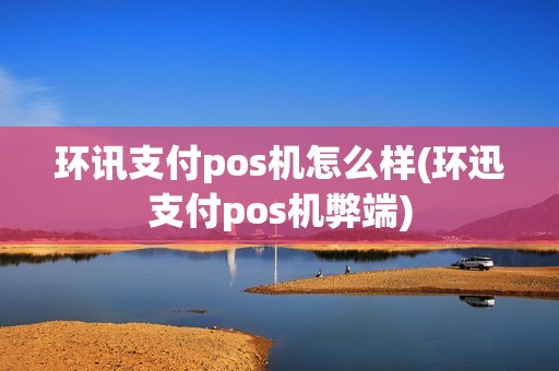 环讯支付pos机怎么样(环迅支付pos机弊端)