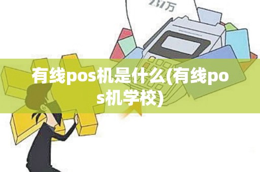 有线pos机是什么(有线pos机学校)