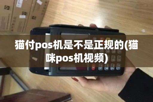 猫付pos机是不是正规的(猫咪pos机视频)
