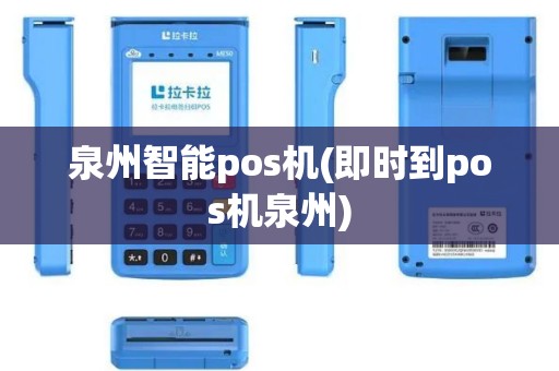 泉州智能pos机(即时到pos机泉州)