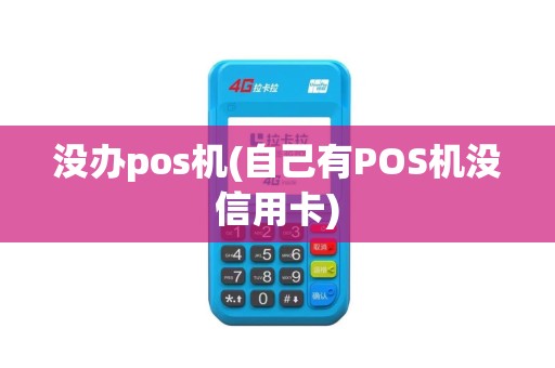 没办pos机(自己有POS机没信用卡)