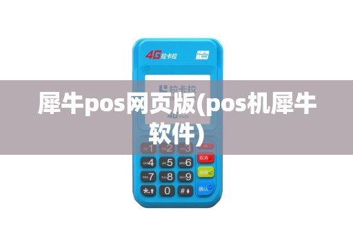 犀牛pos网页版(pos机犀牛软件)