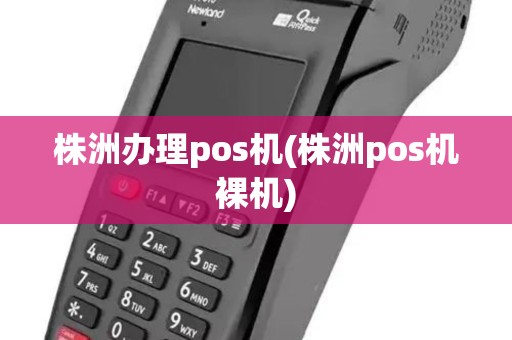 株洲办理pos机(株洲pos机裸机)