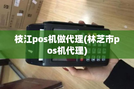 枝江pos机做代理(林芝市pos机代理)
