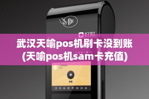 武汉天喻pos机刷卡没到账(天喻pos机sam卡充值)