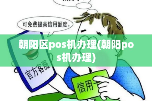 朝阳区pos机办理(朝阳pos机办理)