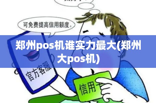 郑州pos机谁实力最大(郑州大pos机)