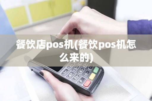 餐饮店pos机(餐饮pos机怎么来的)