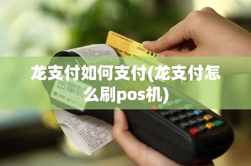 龙支付如何支付(龙支付怎么刷pos机)