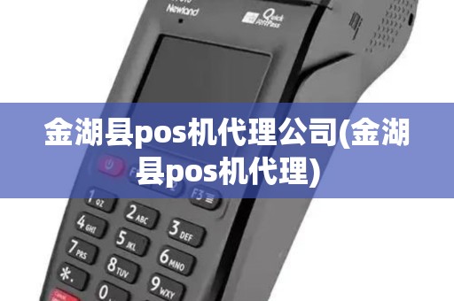 金湖县pos机代理公司(金湖县pos机代理)