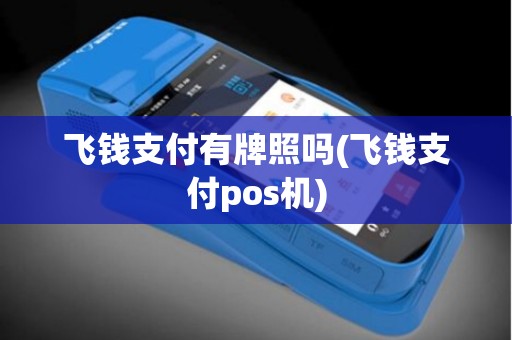 飞钱支付有牌照吗(飞钱支付pos机)