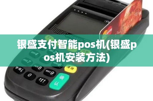 银盛支付智能pos机(银盛pos机安装方法)