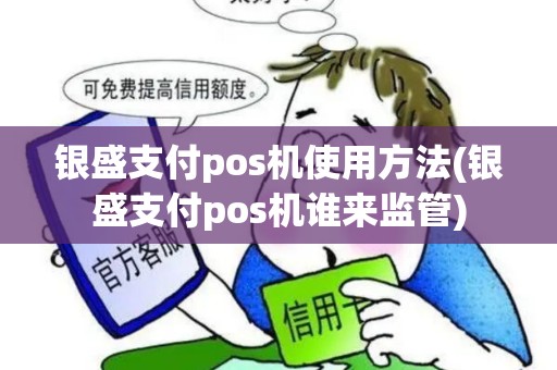 银盛支付pos机使用方法(银盛支付pos机谁来监管)