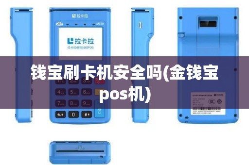 钱宝刷卡机安全吗(金钱宝pos机)