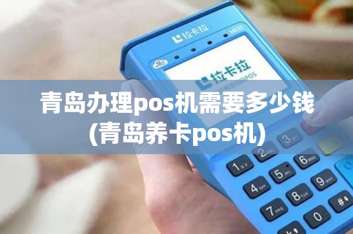 青岛办理pos机需要多少钱(青岛养卡pos机)