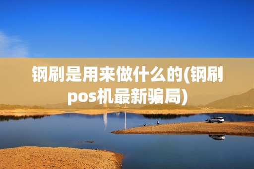 钢刷是用来做什么的(钢刷pos机最新骗局)