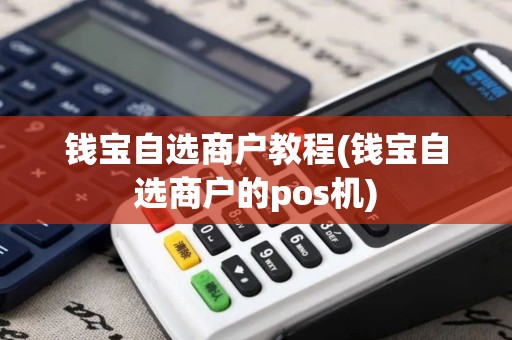 钱宝自选商户教程(钱宝自选商户的pos机)