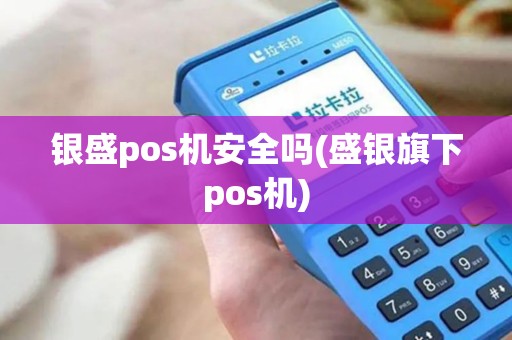 银盛pos机安全吗(盛银旗下pos机)