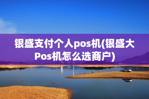 银盛支付个人pos机(银盛大Pos机怎么选商户)