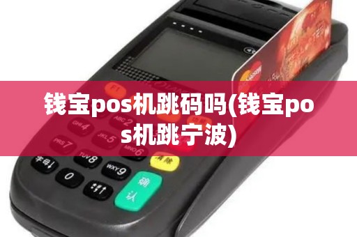 钱宝pos机跳码吗(钱宝pos机跳宁波)