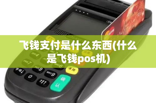 飞钱支付是什么东西(什么是飞钱pos机)