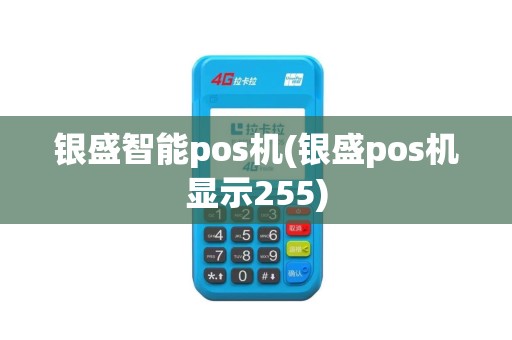 银盛智能pos机(银盛pos机显示255)
