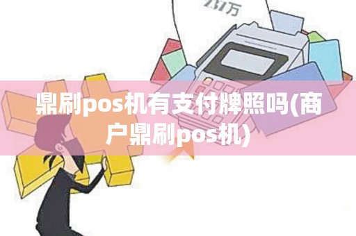 鼎刷pos机有支付牌照吗(商户鼎刷pos机)