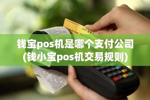 钱宝pos机是哪个支付公司(钱小宝pos机交易规则)