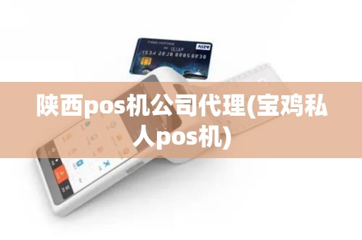 陕西pos机公司代理(宝鸡私人pos机)
