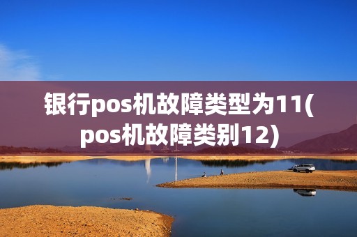 银行pos机故障类型为11(pos机故障类别12)