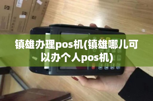 镇雄办理pos机(镇雄哪儿可以办个人pos机)