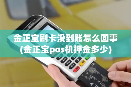 金正宝刷卡没到账怎么回事(金正宝pos机押金多少)