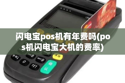 闪电宝pos机有年费吗(pos机闪电宝大机的费率)