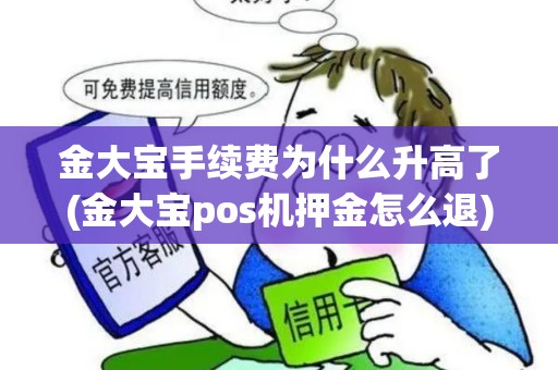 金大宝手续费为什么升高了(金大宝pos机押金怎么退)