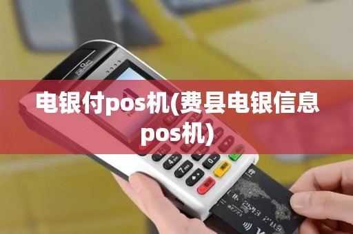 电银付pos机(费县电银信息pos机)
