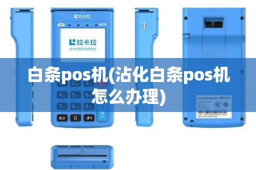 白条pos机(沾化白条pos机怎么办理)