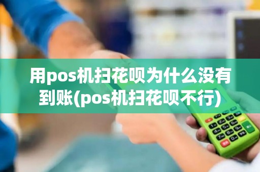 用pos机扫花呗为什么没有到账(pos机扫花呗不行)