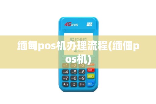 缅甸pos机办理流程(缅佃pos机)