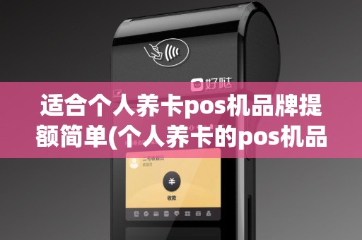 适合个人养卡pos机品牌提额简单(个人养卡的pos机品牌)