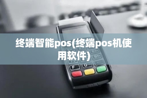 终端智能pos(终端pos机使用软件)