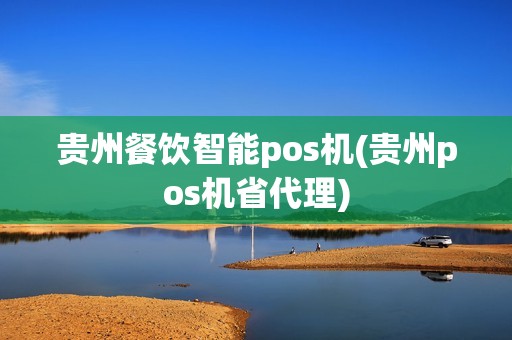 贵州餐饮智能pos机(贵州pos机省代理)