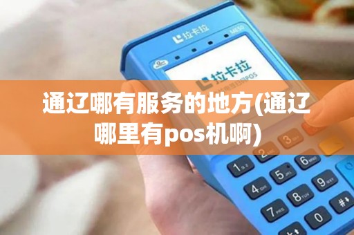通辽哪有服务的地方(通辽哪里有pos机啊)