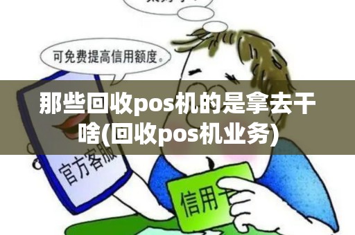 那些回收pos机的是拿去干啥(回收pos机业务)