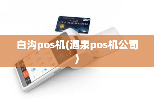 白沟pos机(酒泉pos机公司)