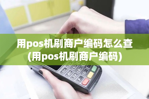 用pos机刷商户编码怎么查(用pos机刷商户编码)
