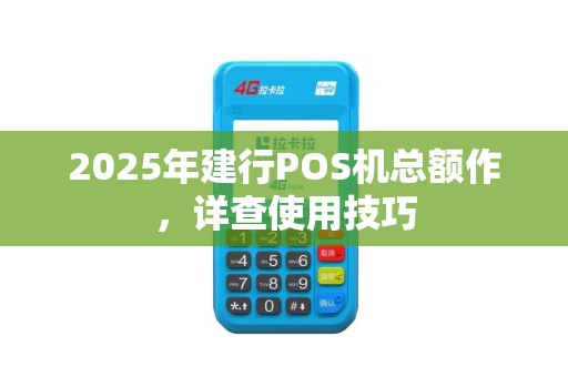 2025年建行POS机总额作，详查使用技巧