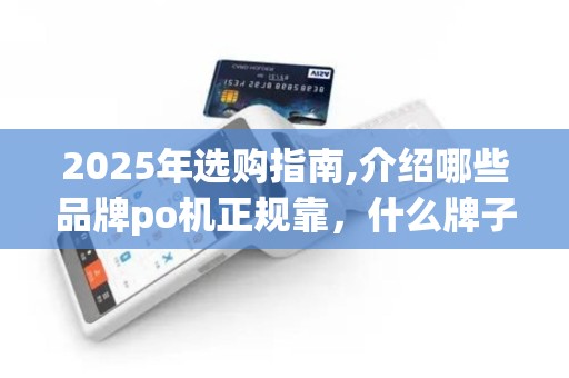 2025年选购指南,介绍哪些品牌po机正规靠，什么牌子用