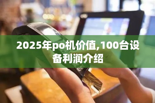 2025年po机价值,100台设备利润介绍